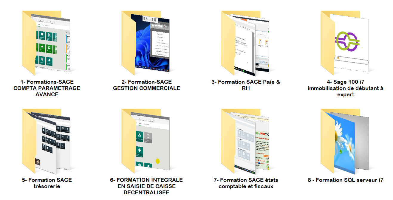 Pack de 8 logiciels SAGE 100i7 + Vidéos de formation – Image 3