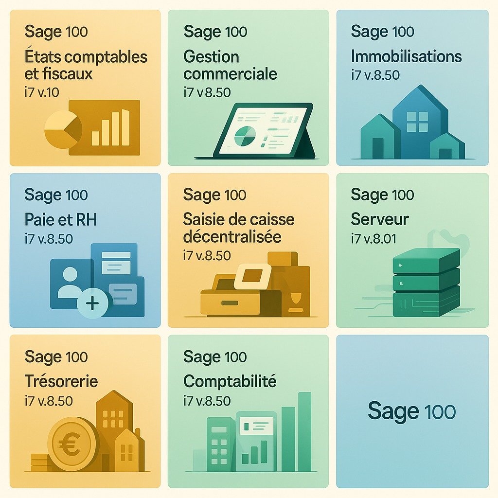 Pack de 8 logiciels SAGE 100i7 + Vidéos de formation – Image 2